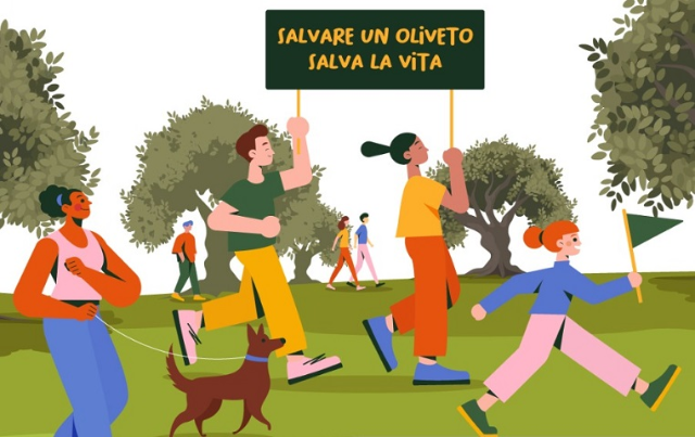 Domenica 27 ottobre appuntamento con la “Camminata tra gli Olivi”, per riscoprire il paesaggio agricolo locale  